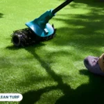 artificial turf cleaning